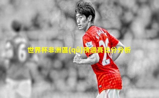 世界杯非洲區(qū)預選賽比分分析