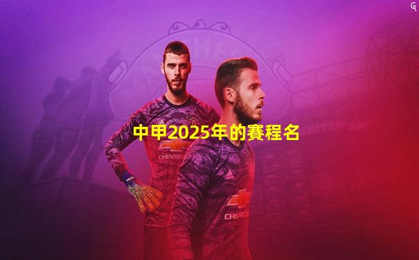中甲2025年的賽程名
