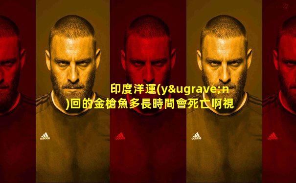 印度洋運(yùn)回的金槍魚多長時間會死亡啊視頻