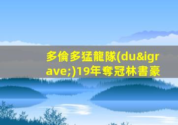 多倫多猛龍隊(duì)19年奪冠林書豪