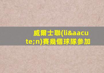 威爾士聯(lián)賽幾個球隊參加