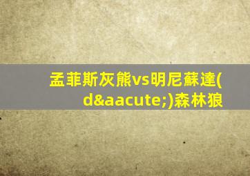 孟菲斯灰熊vs明尼蘇達(dá)森林狼