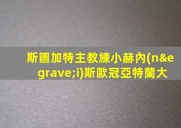 斯圖加特主教練小赫內(nèi)斯歐冠亞特蘭大