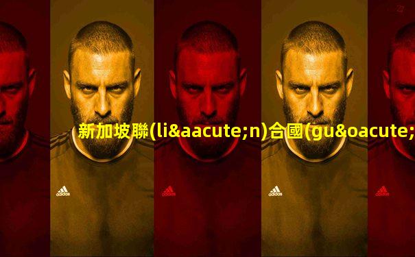 新加坡聯(lián)合國(guó)大使