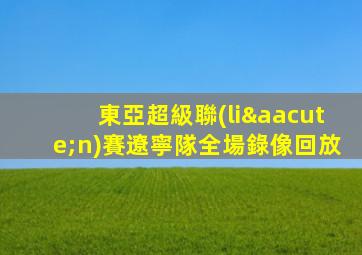 東亞超級聯(lián)賽遼寧隊全場錄像回放