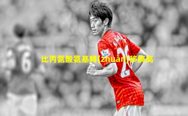 比丙氨酸氨基轉(zhuǎn)移酶高