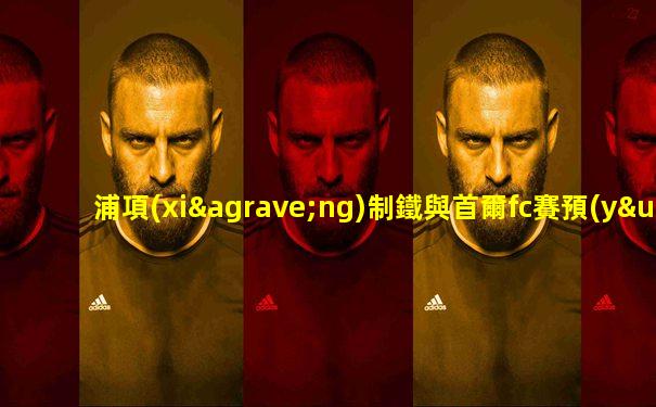 浦項(xiàng)制鐵與首爾fc賽預(yù)測(cè)
