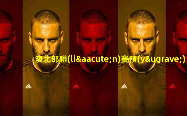 澳北部聯(lián)賽預(yù)備隊隊員名單最新消息查詢