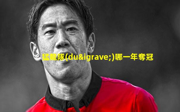 猛龍隊(duì)哪一年奪冠