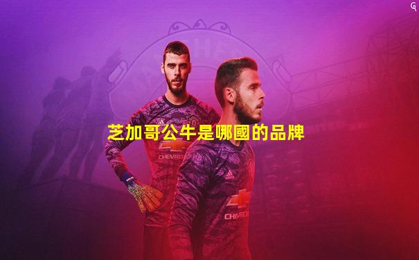 芝加哥公牛是哪國的品牌