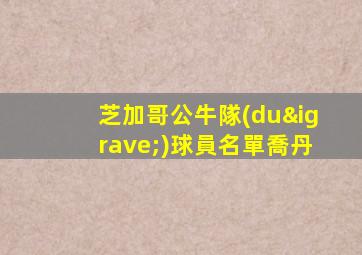 芝加哥公牛隊(duì)球員名單喬丹