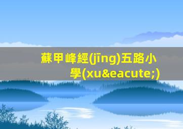 蘇甲峰經(jīng)五路小學(xué)