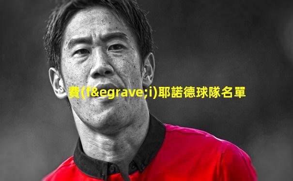 費(fèi)耶諾德球隊名單