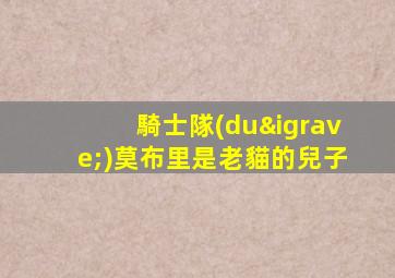 騎士隊(duì)莫布里是老貓的兒子