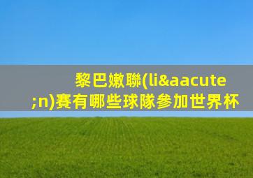 黎巴嫩聯(lián)賽有哪些球隊參加世界杯